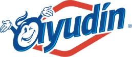 Ayudín
